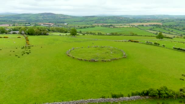 Aerial View Female Tourist Exploring Famous Beltany Stone Circle Impressive — Stock Video