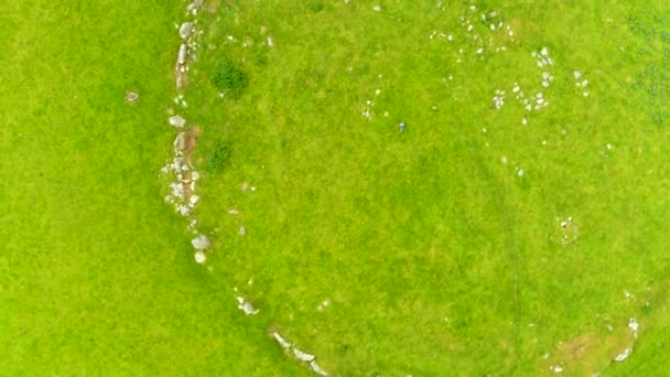 Aerial View Female Tourist Exploring Famous Beltany Stone Circle Impressive — Stock Video
