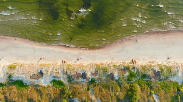 Vista Aérea Cima Para Baixo Belas Praias Arenosas Curonian Spit — Vídeo de Stock