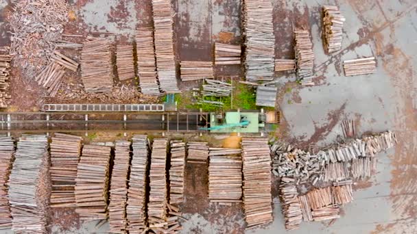 Yığılmış Ağaç Kütükleriyle Dolu Kereste Fabrikasının Havadan Aşağı Manzarası Odunlarla — Stok video