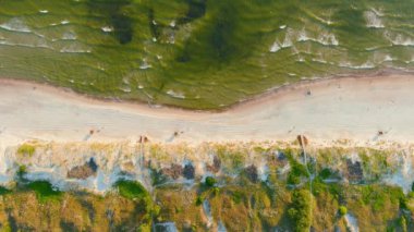 Güzel Curonian Spit plajları, eşsiz kum tepecikleri yarımadası, beyaz kumullar, kokulu çam ormanları, güzel doğa, Baltık Denizi kıyıları, UNESCO Dünya Mirası sahası..