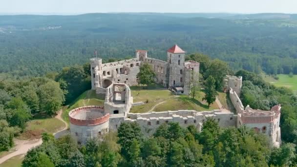 Aerial Orbit View Ruins Tenczyn Castle Rudno Bright Summer Day — Stock Video