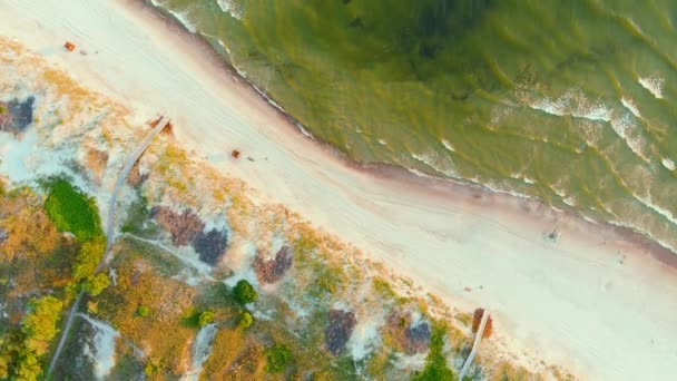 Vista Aérea Rotativa Cima Para Baixo Belas Praias Arenosas Curonian — Vídeo de Stock