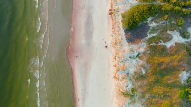 空中俯瞰美丽的沙滩 独特的沙丘半岛 白色沙丘 芬芳的松树林 美丽的自然 波罗的海海岸 联合国教科文组织世界遗产 — 图库视频影像