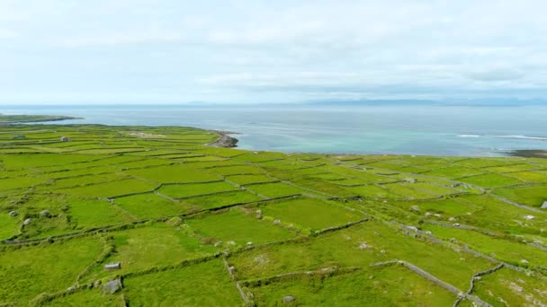 アイルランドのゴールウェイ湾最大のアラン諸島 イニシュモアまたはイニスモールの航空写真 その強いアイルランド文化 アイルランド語への忠誠心 そして古代遺跡の富で有名です — ストック動画