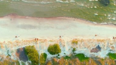 Güzel Curonian Spit plajları, eşsiz kum tepecikleri yarımadası, beyaz kumullar, kokulu çam ormanları, güzel doğa, Baltık Denizi kıyıları, UNESCO Dünya Mirası sahası..