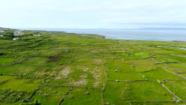 爱尔兰戈尔韦湾最大的阿兰群岛伊尼什莫尔或伊尼斯莫尔的鸟瞰图 以其强大的爱尔兰文化 对爱尔兰语言的忠诚和丰富的古代遗址而闻名 — 图库视频影像