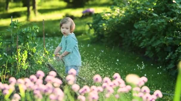 Cute Blond Little Toddler Watering Pot Outdoors Garden Kid Helping — Vídeos de Stock
