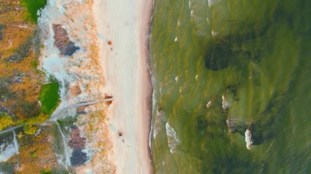 Luftaufnahme Von Wunderschönen Sandstränden Der Kurischen Nehrung Einzigartiger Dünenhalbinsel Weißen — Stockvideo