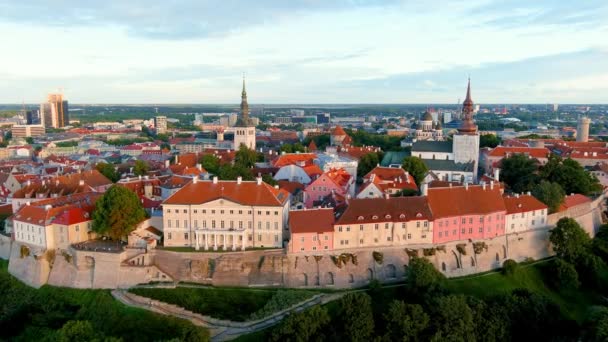 Ikonický Letecký Výhled Tallinn Old Town Toompea Hill Slunečného Letního — Stock video
