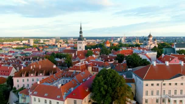 Iconisch Uitzicht Skyline Van Tallinn Old Town Toompea Heuvel Een — Stockvideo