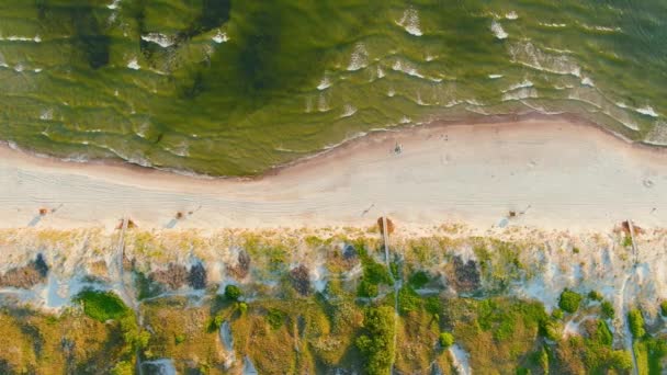 Aerial Top View Beautiful Sandy Curonian Spit Beaches Unique Sand — Stock Video