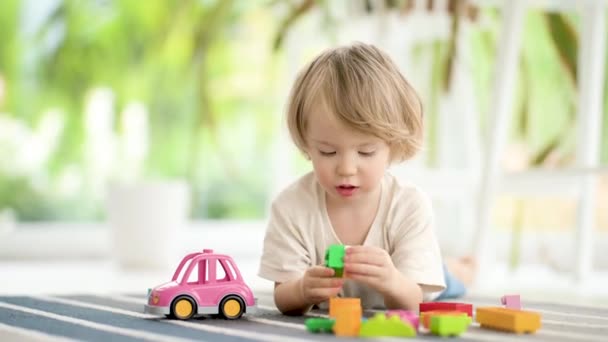自宅で床に設定されたレゴブロックの建設で遊んでかわいい幼児の少年 昼間のケア創造的な活動 おもちゃで遊んでいる子供たち 教育学習ゲーム ファミリーレジャー屋内 — ストック動画
