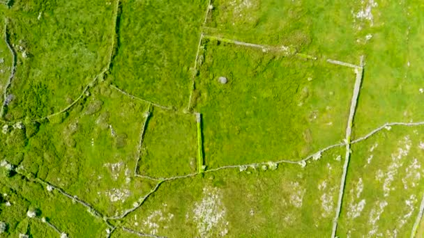Αεροφωτογραφία Από Πάνω Προς Κάτω Του Inishmore Του Inis Mor — Αρχείο Βίντεο