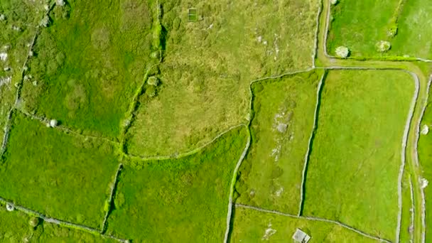 Rlanda Nın Galway Körfezi Ndeki Aran Adaları Nın Büyüğü Olan — Stok video