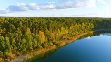 Güneşli bir sonbahar gününde, güzel, pürüzsüz, yeşil bir göl manzarası. Ormanlarla çevrili zümrüt göl manzaralı kuş bakışı. Suda yansıyan bulutlar, sonbaharda gelen altın yapraklar..