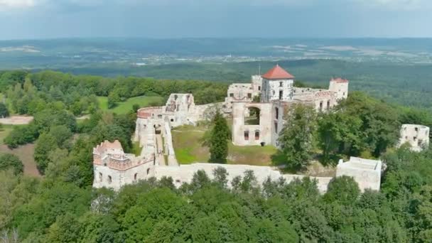 Aerial View Ruins Tenczyn Castle Rudno Bright Summer Day Famous — Stock Video