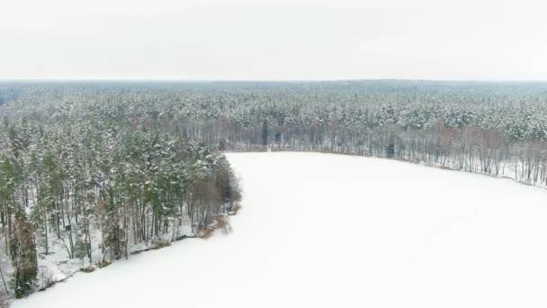 Hermosa Vista Aérea Bosques Pinos Cubiertos Nieve Alrededor Del Lago — Vídeos de Stock