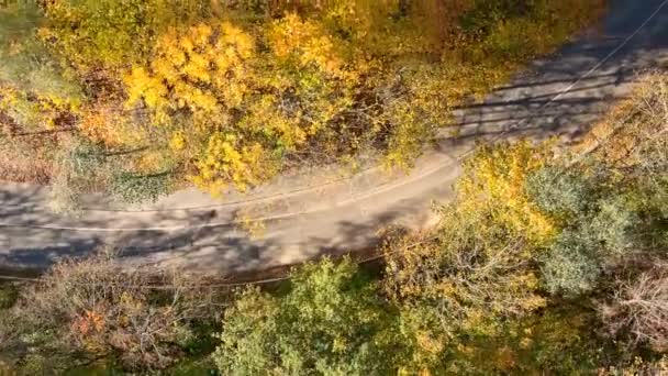 Pohled Ptačí Perspektivy Silnici Auty Projíždějícími Podzimním Lesem Jasného Slunečného — Stock video