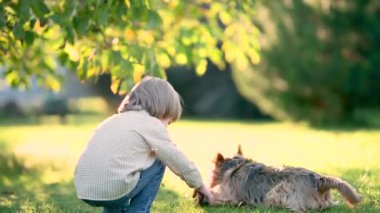 Güneşli yaz bahçesinde ya da bahçede soylu Avustralyalı teriyerle oynayan komik şirin çocuk. Açık hava portresi, mavi ve samur bronz tenli Avustralya teriyeri köpek evcil hayvanı. Yavaş çekim.