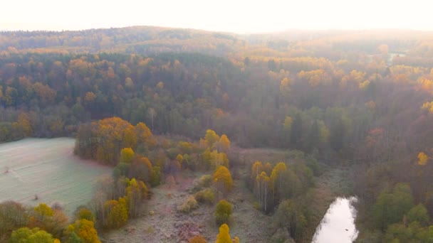 Luchtfoto Vroege Koude Zonnige Herfst Ochtend Uitzicht Bomen Het Meer — Stockvideo