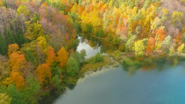 Vista Aerea Autunnale Del Bellissimo Lago Balsys Uno Dei Sei — Video Stock