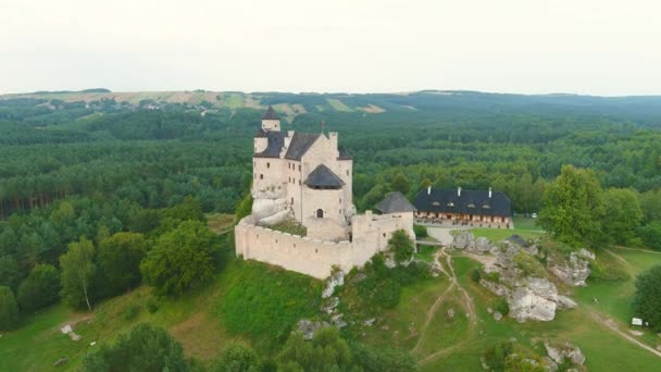 イーグルス ネスト トレイルの一部であるロイヤル中世のボボボリス城 南西ポーランドの要塞の鎖 西の国境を守る 城愛好家のための主要な観光スポット ポーランド ジュラ地方 — ストック動画