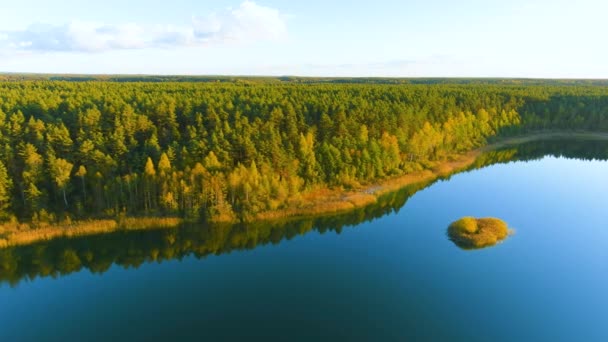 Αεροφωτογραφία Των Όμορφων Πράσινων Λείων Νερών Της Λίμνης Γέλας Πουλιά — Αρχείο Βίντεο