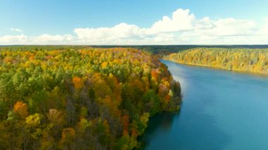 Verkiai Bölge Parkı 'nda bulunan altı Yeşil Gölden biri olan güzel Balsys Gölü' nün hava sonbahar manzarası. Ormanla çevrili zümrüt göl manzaralı kuş bakışı. Vilnius şehri, Litvanya.