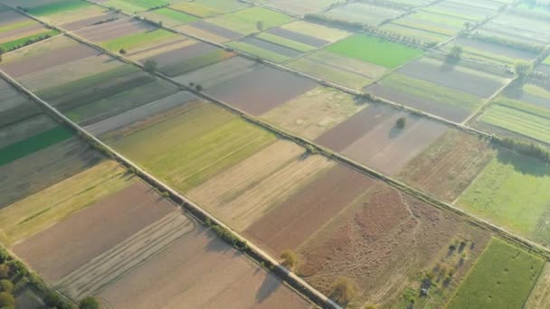 Moreloponnese Deki Tarım Arazilerinin Yukarıdan Aşağı Görüntüsü Farklı Yeşil Sarı — Stok video