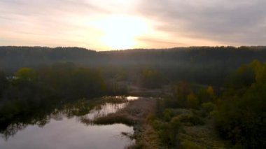 Hava erken saatte soğuk, güneşli sonbahar sabahı ağaçlar ve göl manzarası. Sonbaharda güzel sisli orman sahnesi. Rönesans buzu, çim örtüsü, sarı yapraklar. Açık hava manzarası..