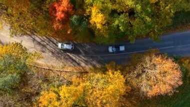 Parlak güneşli bir günde sonbahar ormanlarında arabaların geçtiği bir yola kuşların bakışı bakış açısı. Sonbaharda, turuncu ve sarı yapraklı, havadan renkli orman manzarası. Sonbahar manzarası.