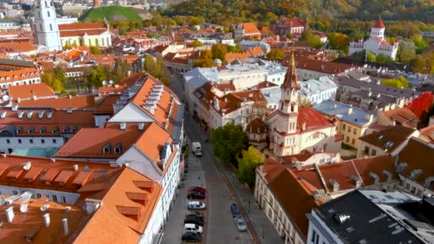 Vilnius Taki Geleneksel Ticaret Etkinliklerin Merkezi Olan Pilies Caddesi Nin — Stok video