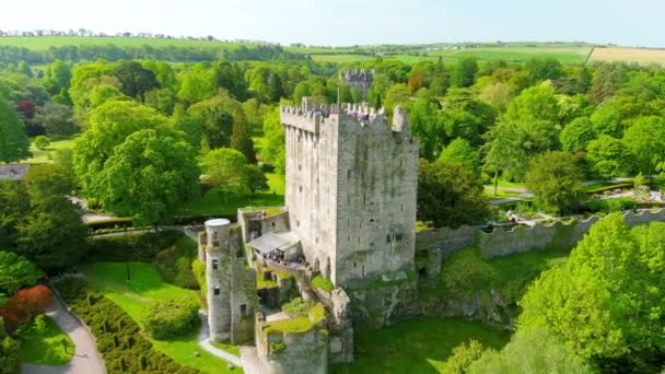 Kastil Blarney Benteng Abad Pertengahan Blarney Dekat Cork Dikenal Karena — Stok Video