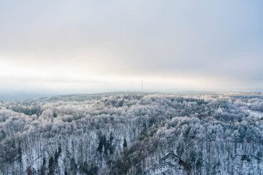 Çam ormanlarının karla kaplı güzel hava manzarası. Rime buzu ve ağaçları kaplayan buz kütleleri. Manzaralı kış manzarası.