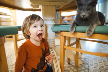 Tatlı çocuk masanın altında dost canlısı Rus mavi safkan kedisini okşuyor. Komik çocuk ve evcil hayvanı.