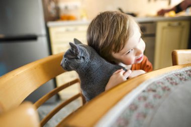Tatlı çocuk masanın altında dost canlısı Rus mavi safkan kedisini okşuyor. Komik çocuk ve evcil hayvanı.