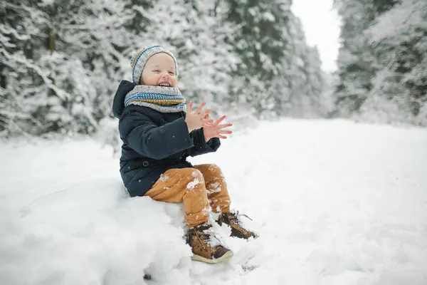 寒い冬の日に雪に覆われた松林の中で散歩を楽しんでいるかわいい幼児の少年 子供は自然を探索する 小さな子供のための冬の活動 — ストック写真