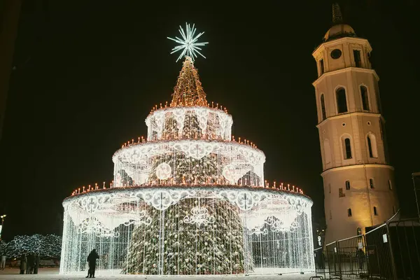Decorated Illuminated Christmas Tree Cathedral Square Night Vilnius Celebrating Christmas — Stock Photo, Image