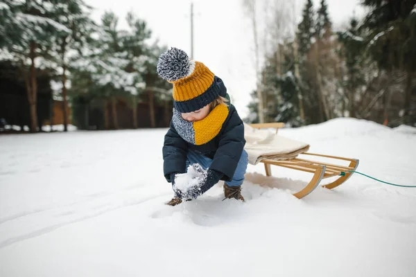 Rolig Liten Pojke Som Har Kul Med Släde Vackra Vinterparken — Stockfoto