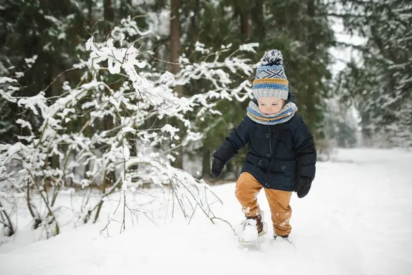Χαριτωμένο Αγοράκι Έχει Διασκέδαση Μια Βόλτα Στο Χιόνι Καλύπτονται Πευκοδάσος — Φωτογραφία Αρχείου