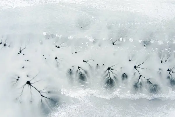 Воздушный Вид Сверху Вниз Замерзшую Поверхность Озера Текстура Льда Трещинами — стоковое фото