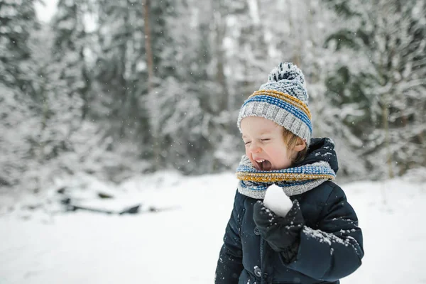 Χαριτωμένο Αγοράκι Έχει Διασκέδαση Μια Βόλτα Στο Χιόνι Καλύπτονται Πευκοδάσος — Φωτογραφία Αρχείου