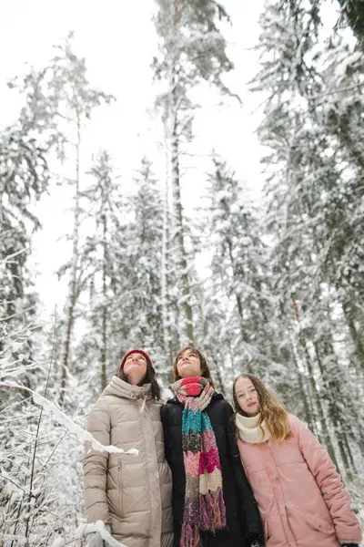 Αστείες Έφηβες Αδερφές Και Μητέρα Τους Διασκεδάζουν Μια Βόλτα Στο — Φωτογραφία Αρχείου