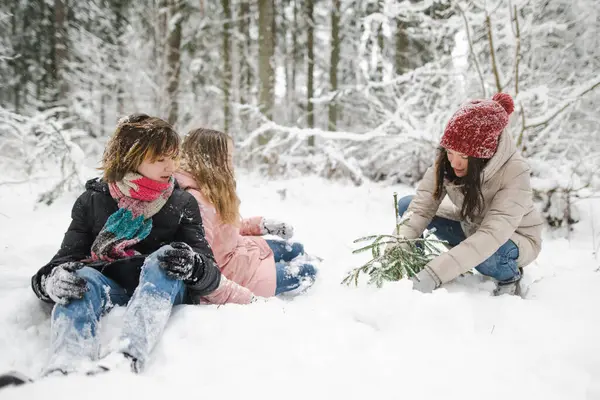 Funny teen sisters and their mother having fun on a walk in snow covered pine forest on chilly winter day. Teenage girls exploring nature. Winter activities for kids.