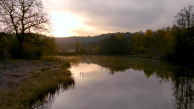 Soğuk, güneşli bir sonbahar sabahı göl manzarası. Sonbaharda güzel sisli orman sahnesi. Göl yüzeyi, rime buzu, çim örtüsü, sarı yapraklar. Açık hava manzarası..