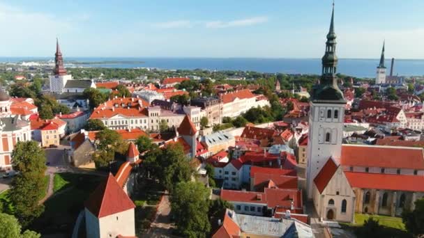 Iconic Aerial Skyline View Tallinn Old Town Sunny Summer Morning — Stock Video