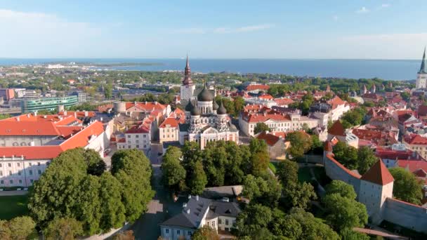 Letecký Pohled Katedrálu Alexandra Nevského Tallinnu Slunečného Letního Rána Katedrála — Stock video