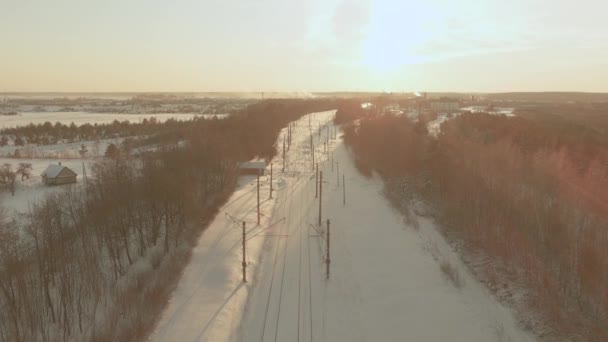 Légi Naplemente Kilátás Vasút Között Fenyves Erdők Télen Téli Táj — Stock videók