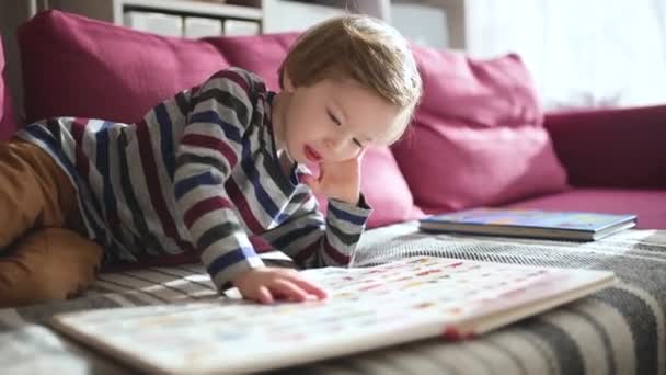 Милий Маленький Хлопчик Читає Книги Дивані Вдома Яскравий Сонячний День — стокове відео